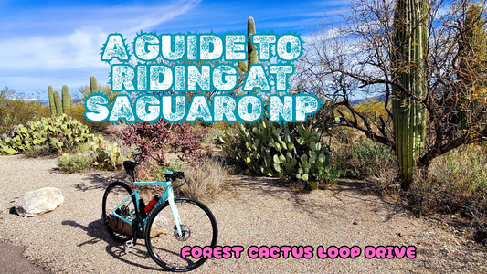 a guide to riding your bike at saguaro national park on the forest cactus loop drive